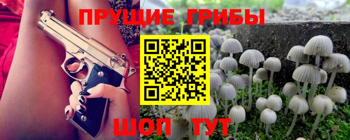 цены наркотик  Вход с VPN  Галлюциногенные грибы ЛСД  Дмитров  Галлюциногенные грибы ЛСД 